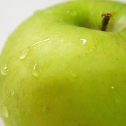Granny Smith Apple Tree -Green Glory Outlet Store FRU0227 2