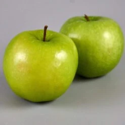 Granny Smith Apple Tree -Green Glory Outlet Store FRU0227 3
