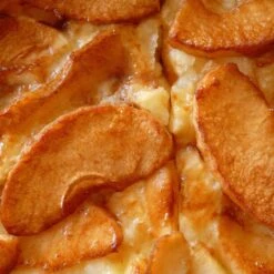 Bramley's Seedling Cordon Apple Tree -Green Glory Outlet Store FRU0258 4 42cffabe a4d3 4601 9d07 886e881b0539