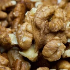 'Buccaneer' Walnut Tree -Green Glory Outlet Store FRU0413 3